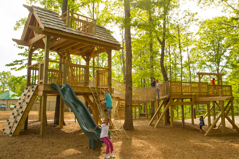 Children-Playing-On-Wooden-Playground-Equipment-Surrounded-By-Trees