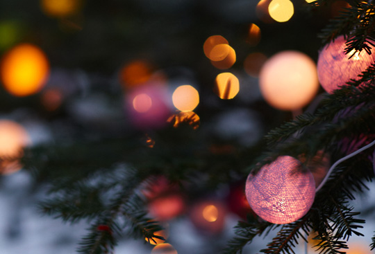 Orb shaped Christmas lights on an evergreen outside of a house