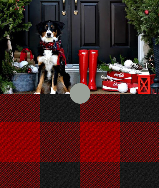 Bernese-Mountain-Dog-Wearing-Red-Plaid-Scarf-With-Red-Rain-Boots-Underneath-Evergreen-Trees