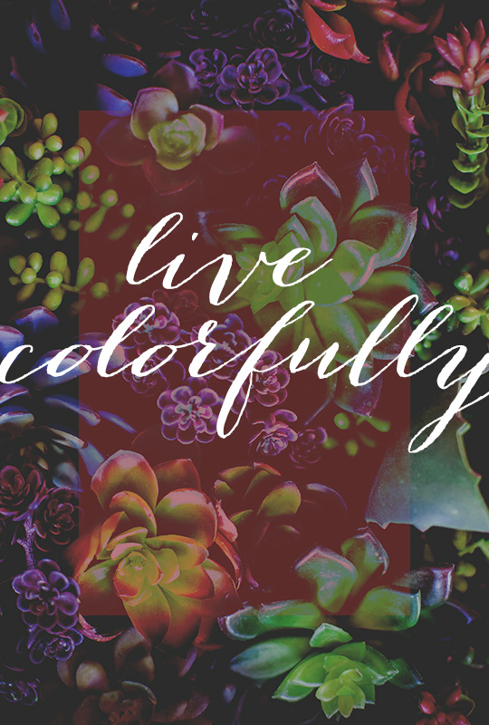 Live Colorfully This Season