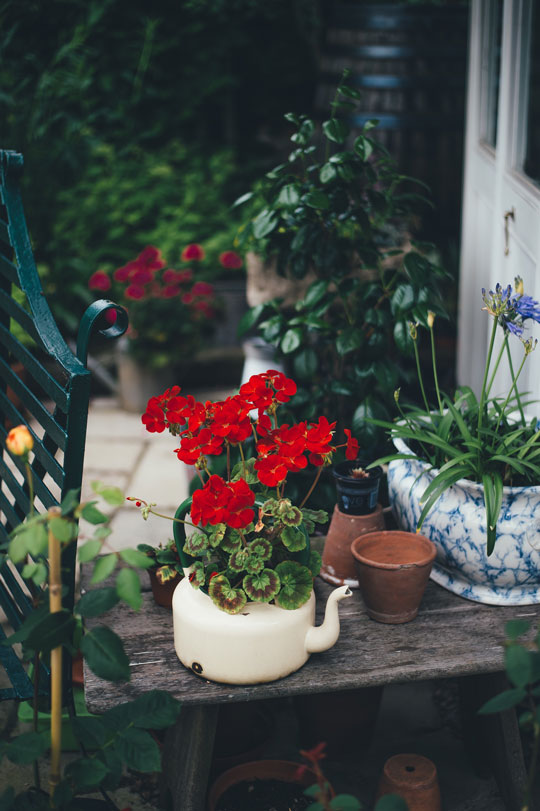 Small-Wooden-Table-Supporting-Red-Perennial-Geranium-Accompanying-Old-White-Teapot-Beside-Clay-Pot-And-Blue-Tie-Die-Pattern-Pot-In-Backyard-Patio-Garden