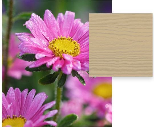 Autumn-Tan-James-Hardie-Fiber-Cement-Sample-Contrasted-With-Pink-Carnations