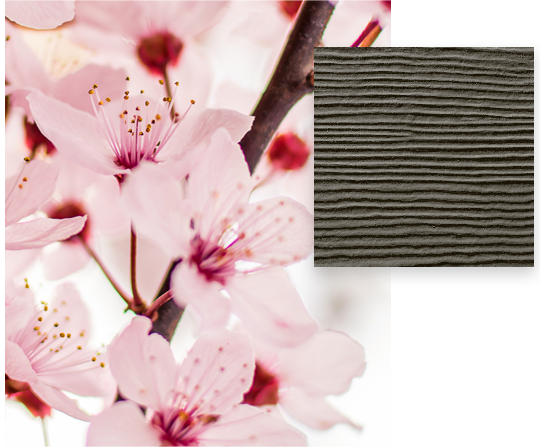 HardiePlank-Timber-Bark-Lap-Siding-Sample-And-Pink-Cherry-Blossoms